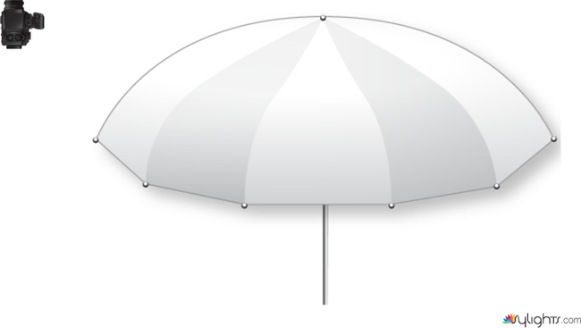 umbrella by Guest User