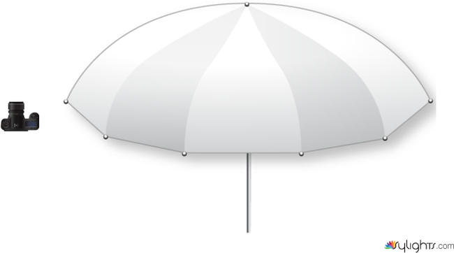 umbrella by Guest User