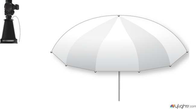 umbrella by Guest User