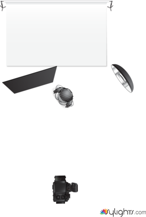 formato medio by Guest User