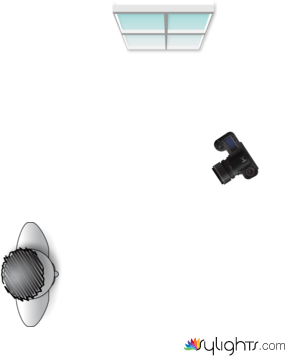 Workshop 2 by Guest User