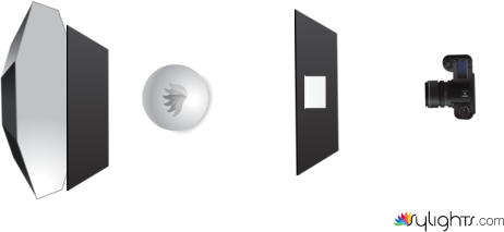 Esquema tulipanes by Guest User