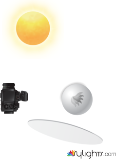 Cerveza by Guest User