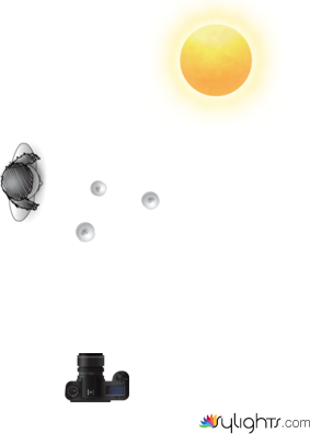 image 5  by Guest User