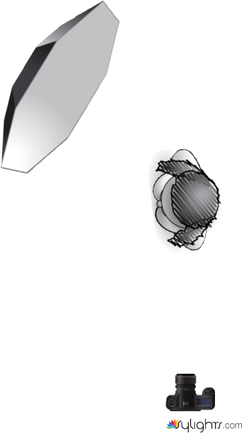 Profile Lighting by Kevin McSparron