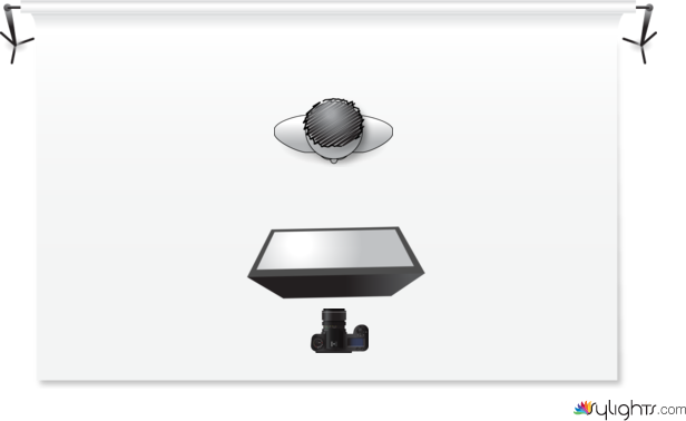 Butterfly by Kevin McSparron