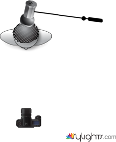 number 8 felicia butter fly lighting artificial by Lrrice