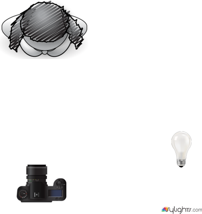 ROBIN WEBB by Lrrice