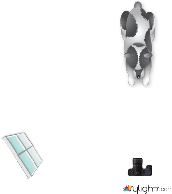 Louis Alston 2 by Lrrice