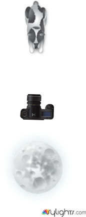 ROBIN WEBB by Lrrice