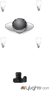 Push Up by Jonathan Douglas