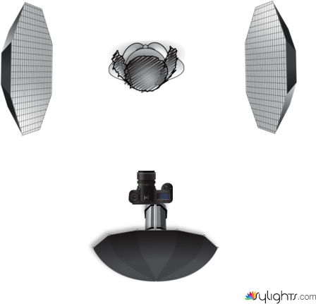 Zena2 by Kristoffer Cox