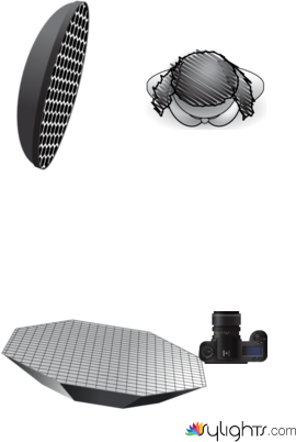 Shannon by Kristoffer Cox