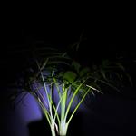 C279fd92fb86263bc95c1da771b9685c_medium